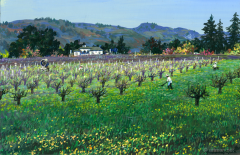 NapaValleySpring