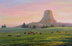 WyomingDevilsTowerNationalMonument