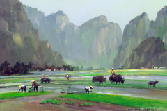 VietnamHalongBayRiceSeedling