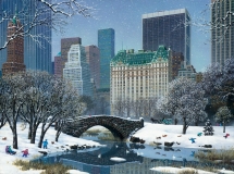CentralParkWinter1024-2