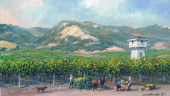 NapaValleyHarvestNorthCounty