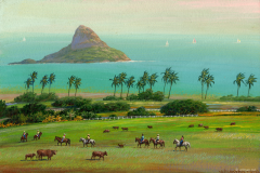 Hawaii Overlook  Kualoa Regional Park